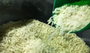 Governo anula leilão e cancela compra de arroz importado Governo anula leilão e cancela compra de arroz importado