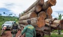 Governo autoriza contratação de 257 servidores para o Ibama