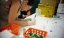 Guia vai orientar estados e municípios na eliminação das hepatites virais no Brasil