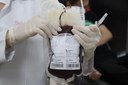 Hemopi precisa de doações de sangue com fator Rh negativo