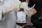 Hemopi precisa de doações de sangue com fator Rh negativo