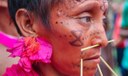Ibama cria sala de combate ao garimpo ilegal em terra Yanomami