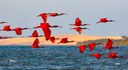 IBGE avalia registros sobre biodiversidade brasileira