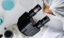 Impacto acadêmico da ciência aumentou 21% de 1996 a 2022