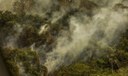 Incêndios podem ter degradado 9% do Pantanal nos últimos cinco anos Incêndios podem ter degradado 9% do Pantanal nos últimos cinco anos