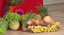 Lançado Programa Cozinha Solidária no Piauí Lançado Programa Cozinha Solidária no Piauí