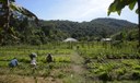 Lei institui política de empreendedorismo para jovens no campo