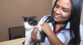 Março Amarelo alerta para doença renal crônica em gatos em reportagem da TV Alepi