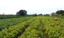 Ministérios assinam acordo para impulsionar agricultura familiar