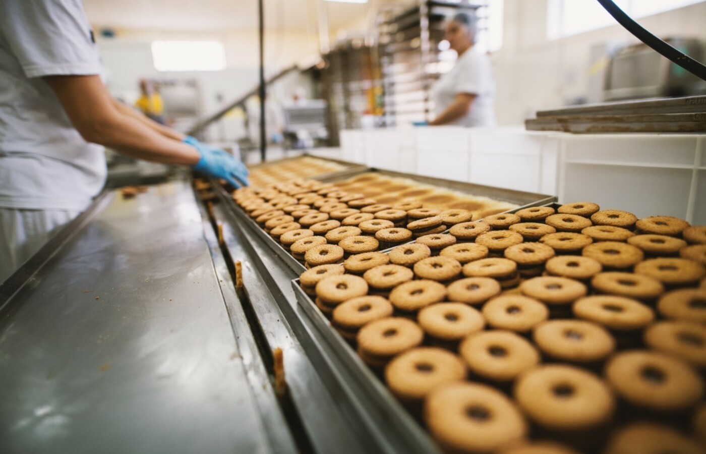 Nenhum setor da indústria emprega mais que o alimentício