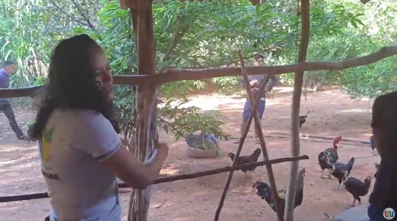 No Piauí que Produz, dia de campo em Demerval Lobão e curso de pequi em Capitão de Campos