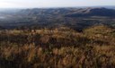 Olhar voltado para a Amazônia ameaça sobrevivência do Cerrado