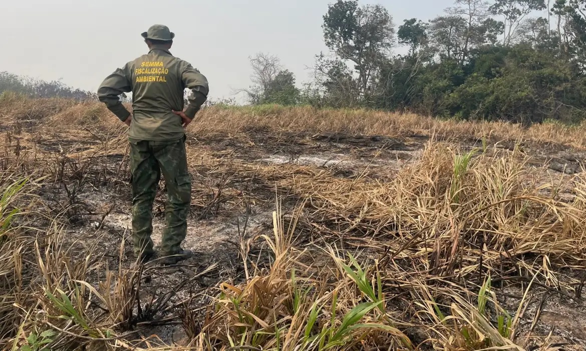 País reduz 70% da área queimada no primeiro trimestre de 2025