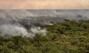 Pantanal poderá ter crise hídrica histórica em 2024, aponta estudo Pantanal poderá ter crise hídrica histórica em 2024, aponta estudo