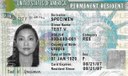 Pedidos de green card aumentam 28% entre os brasileiros em 2022 Pedidos de green card aumentam 28% entre os brasileiros em 2022