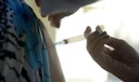 Pesquisa indica espaço para adesão de adultos à vacinação
