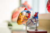 Pesquisa relaciona diabetes tipo 2 a doenças cardiovasculares