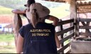 Piauí é destaque na lista de trabalho análogo à escravidão