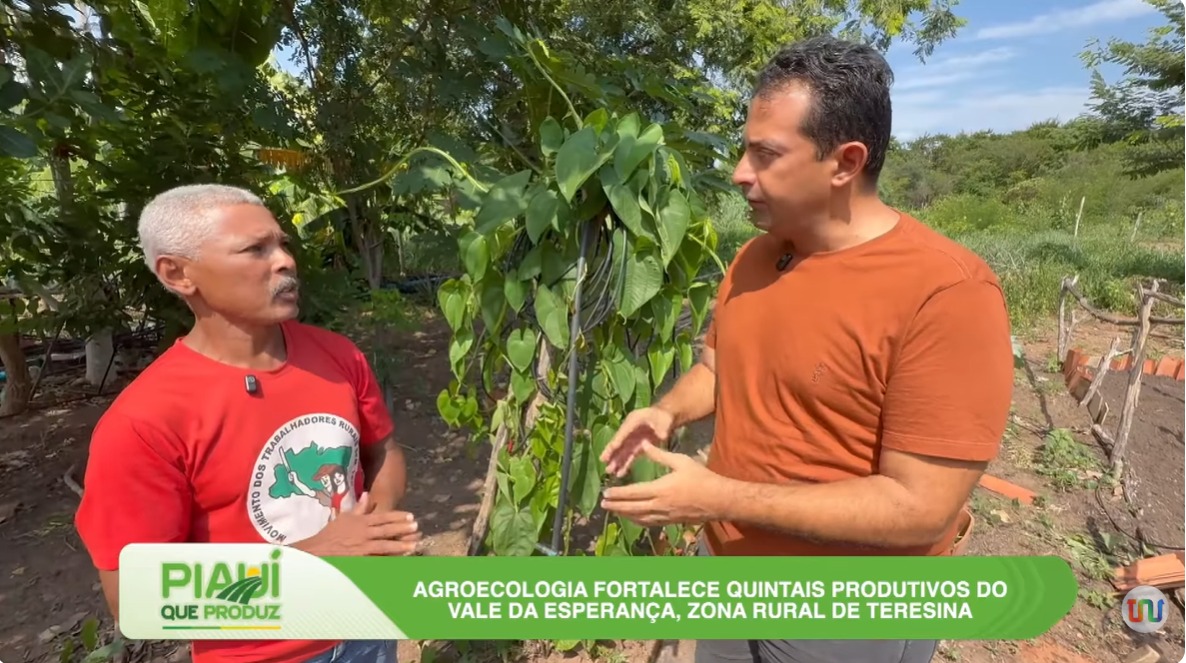 Piauí que Produz destaca agroecologia, saberes tradicionais e impactos econômicos no estado