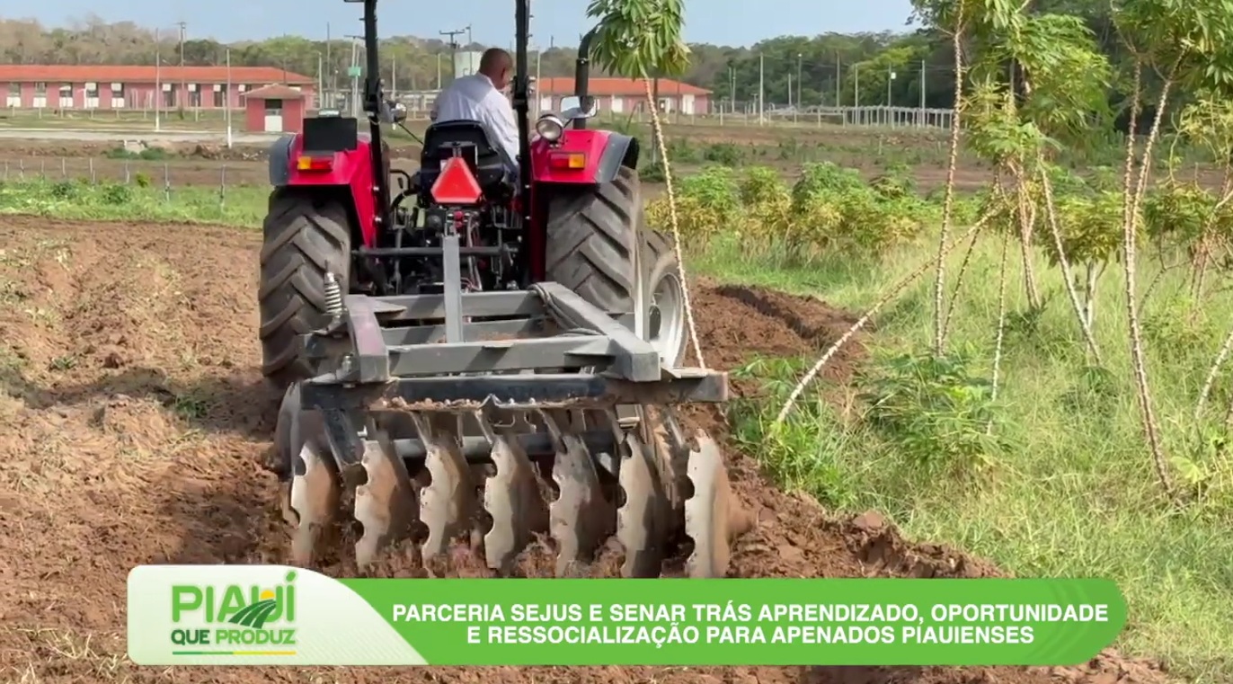 Piauí que Produz destaca emergência zoossanitária, ressocialização por meio do trabalho e tradição cultural no estado