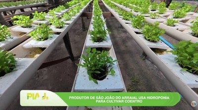 Piauí que Produz destaca inovação no campo e alerta sanitário no estado