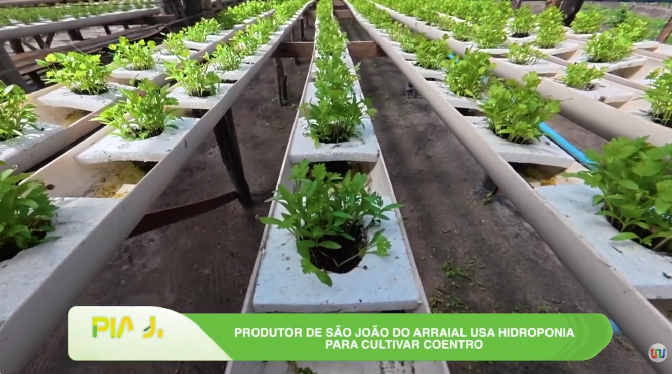 Piauí que Produz destaca inovação no campo e alerta sanitário no estado