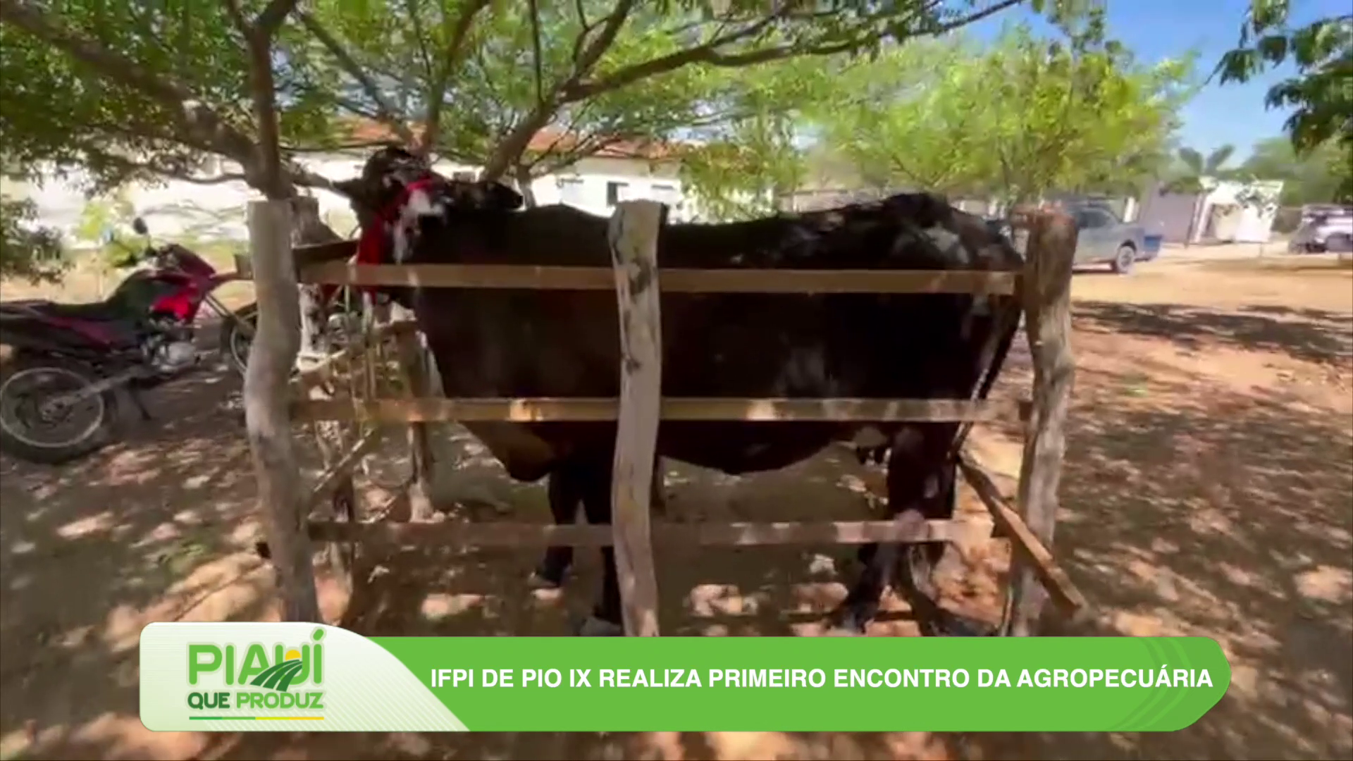 Piauí que Produz destaca jornada científica na UFPI e seca no rio Gurgueia 