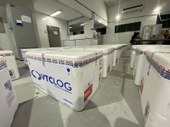 Piauí recebe primeiras doses da vacina contra a dengue