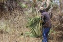 Piauí se destaca no resgate de trabalhadores em situação análoga à escravidão