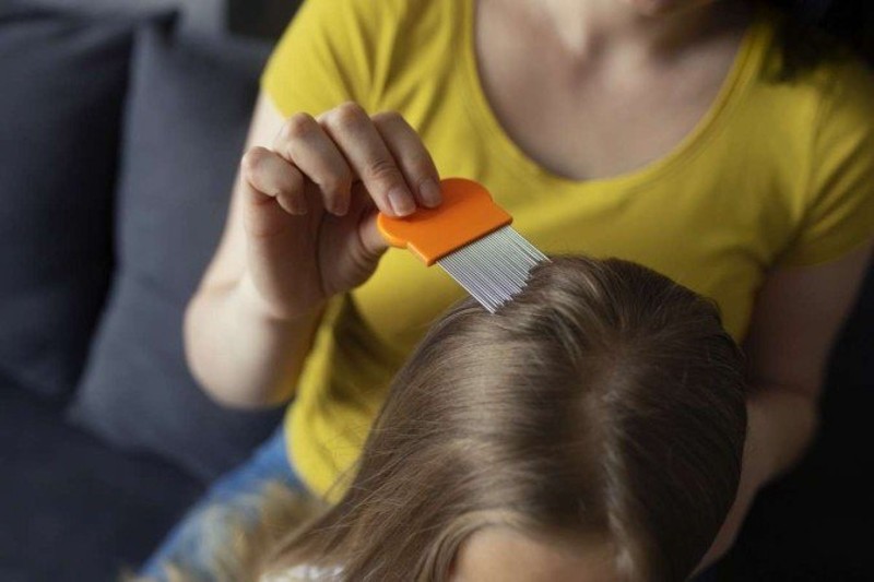 Piolhos: veja como ocorre infestação por insetos nos cabelos