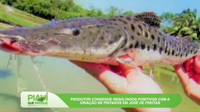Piscicultura impulsiona renda no campo e ganha destaque no Piauí que Produz