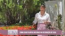 Plantas naturais na decoração: beleza, praticidade e bem-estar dentro de casa