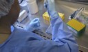 Plataforma internacional gera produtos e serviços sobre saúde