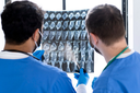 Pneumonia: alerta sobre uma doença silenciosa que acomete jovens e adultos Pneumonia: alerta sobre uma doença silenciosa que acomete jovens e adultos