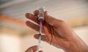 PNI busca padronizar plataformas de dados de vacinação