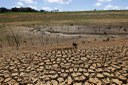 Políticas ainda são insuficientes sobre efeitos climáticos