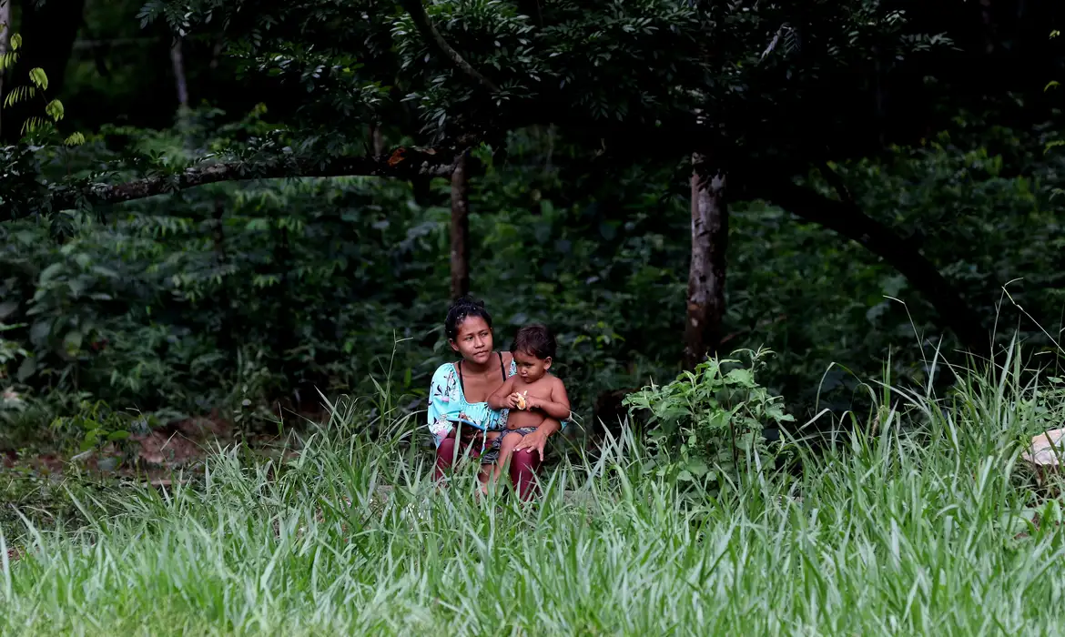 Preservação de biomas em terras indígenas é 31% maior, diz ISA 