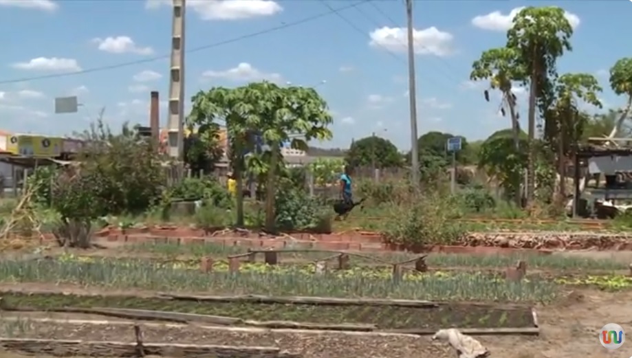 Produtores rurais têm até 30 de novembro para atualizar cadastro e manter desconto na conta de luz