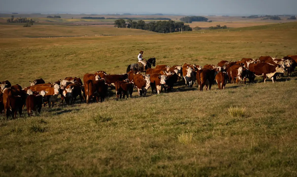 Puxado pela Agropecuária, PIB avança 1,4% no primeiro trimestre