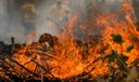 Quase 1/4 do território brasileiro pegou fogo nos últimos 40 anos Quase 1/4 do território brasileiro pegou fogo nos últimos 40 anos