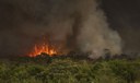 Queimadas atingiram 30 milhões de hectares no país em 2024
