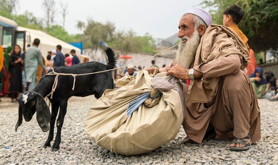 Relatório da OMS aponta perda de décadas de vida por causa de desigualdades