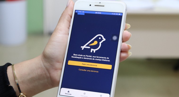 Saiba como denunciar irregularidades eleitorais usando o app Pardal