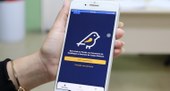 Saiba como denunciar irregularidades eleitorais usando o app Pardal