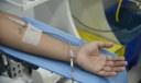 Saiba mais sobre critérios e cuidados para doação regular de sangue Saiba mais sobre critérios e cuidados para doação regular de sangue