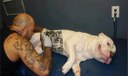 Sancionada lei que proíbe tatuagens e piercings em cães e gatos