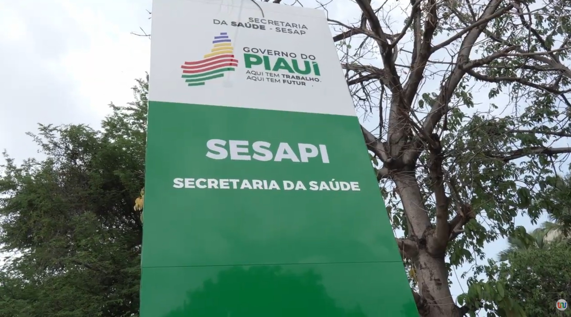 Saúde mental: Piauí dispõe de rede pública de acolhimento e cuidado psicológico