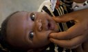Semana Mundial de Imunização espera vacinar milhões de crianças Semana Mundial de Imunização espera vacinar milhões de crianças