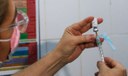 Sociedade médica alerta para baixa procura da vacina contra a dengue Sociedade médica alerta para baixa procura da vacina contra a dengue