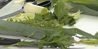 Tecnologia solar desenvolvida no Piauí ajuda agricultores familiares a reduzir desperdício e gerar renda